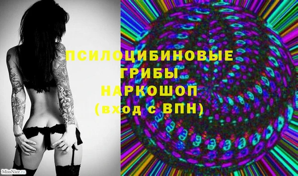 spice Баксан